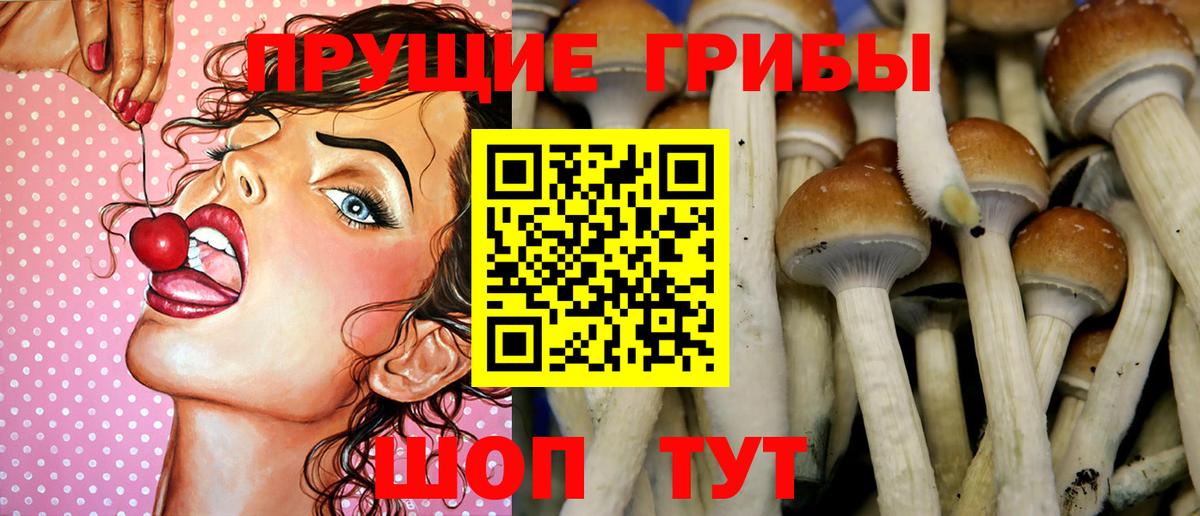 Галлюциногенные грибы ЛСД  Галлюциногенные грибы GOLDEN TEACHER  Орёл  Вход с VPN 