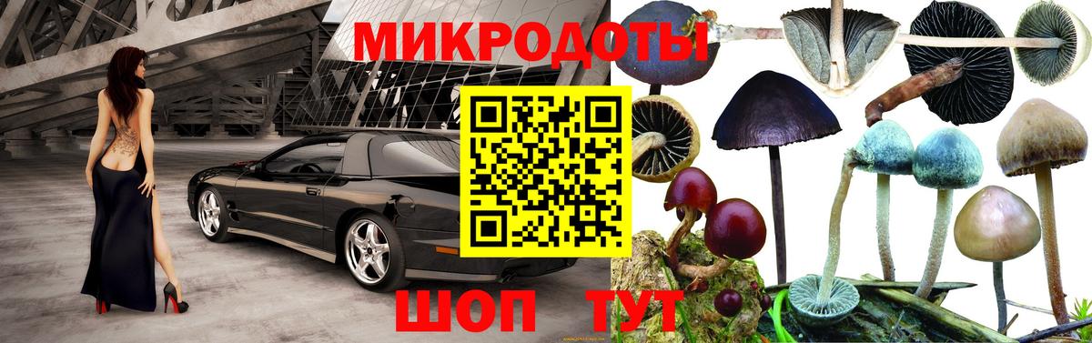 Галлюциногенные грибы ЛСД Орёл